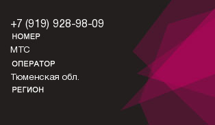 9199289809